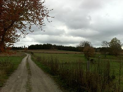 Seul compte l'automne...