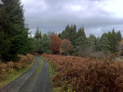 Seul compte l'automne...