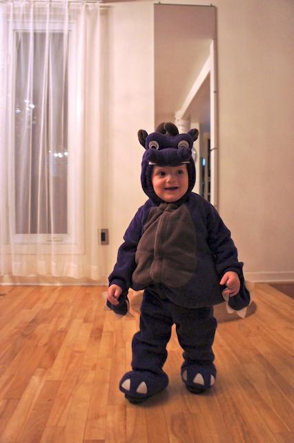 La photo du dimanche #19 !!! Nous avons une invitée très classe !!! La photo du dimanche #19 !!! Nous avons une invitée très classe !!!