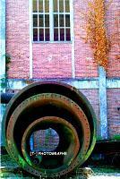 La photo du dimanche #19 !!! Nous avons une invitée très classe !!! La photo du dimanche #19 !!! Nous avons une invitée très classe !!!