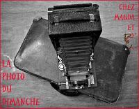 La photo du dimanche #19 !!! Nous avons une invitée très classe !!!