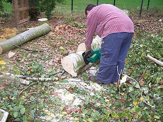 Objectif : Abattre des arbres (3ème et dernière partie)