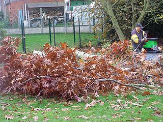 Objectif : Abattre des arbres (3ème et dernière partie)