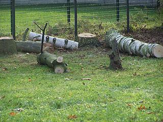 Objectif : Abattre des arbres (3ème et dernière partie)