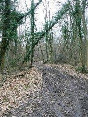 Sur les coteaux de la vallée du Grand-Morin (77)