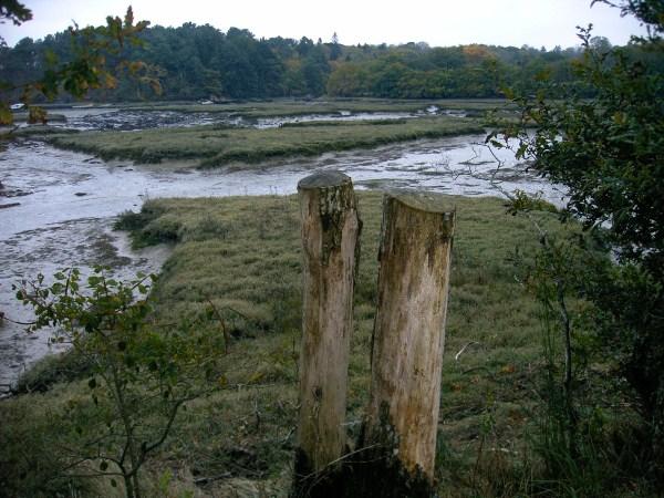 j'ai oublié le titre