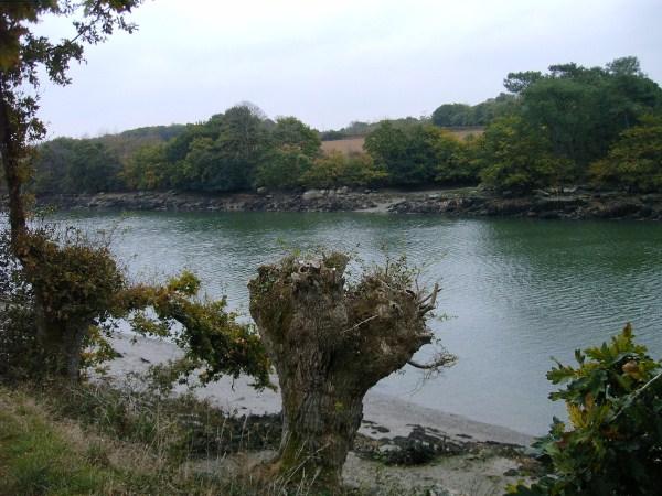 j'ai oublié le titre