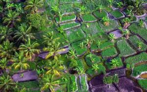 droit-de-propriete Le droit de propriété, un enjeu majeur du développement durable en Côte d’Ivoire