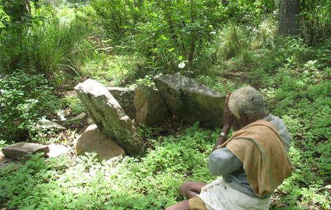 Un Soliga rend un culte à l'un des 487 sites sacrés de la réserve de Biligirangan.