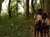 [Spiritualités Traditions] Inde tribu obtient droits sans précédent réserve tigres Survival International