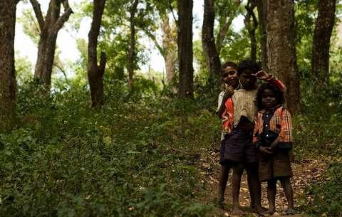 De jeunes garçons soliga jouent dans une clairière des forêts de la réserve de Biligirangan.