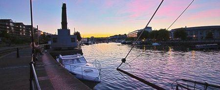 The Olive Shed: de la cuisine méditerranéenne avec vue The Olive Shed vue