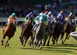 Breeders+Cup+World+Championships+Day+2+-L-ECf83lbul
