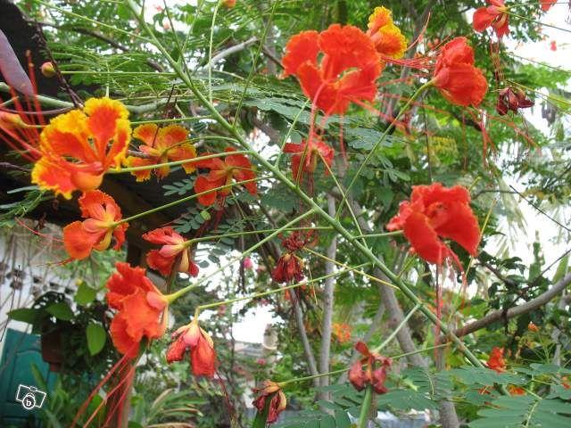 La Chine, la seule Chine