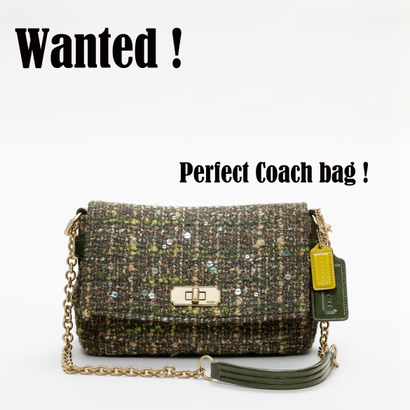 coach bag.png