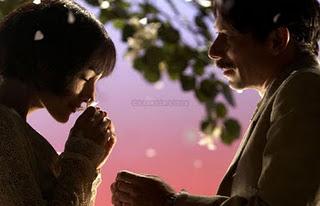 UN AUTRE FILM : POULET AUX PRUNES