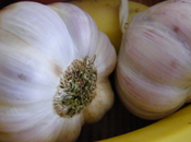 tour marchés Montpellier (part.3)