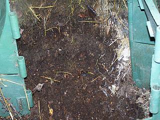 Culture sur buttes (2éme partie)