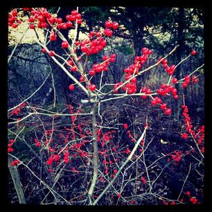 Inspirer et s'inspirer