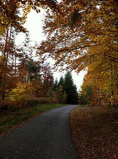 Nos collègues de blog sont parfois formidables... (parfois moins)