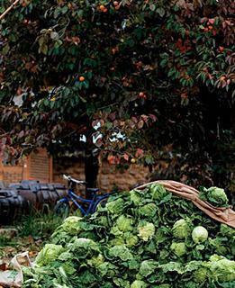 Met coréen - Kimchi Met coréen - Kimchi