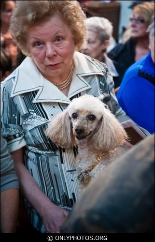 benediction-animaux-st-rita-paris-002
