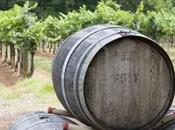 production stable malgré recul vignoble mondial