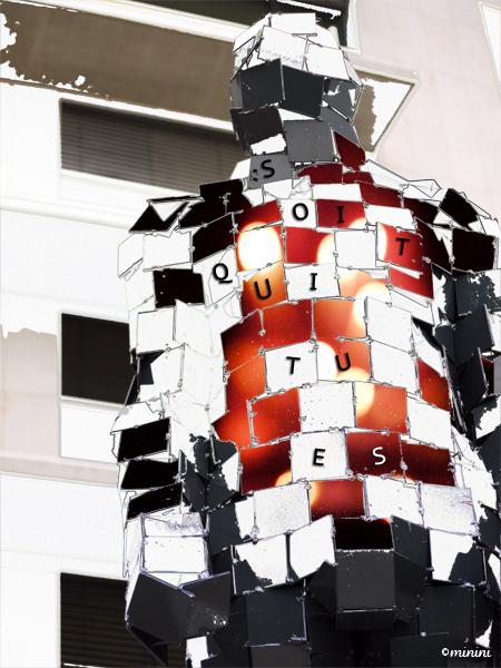 Armure humaine ! JPEG - 225.3 ko