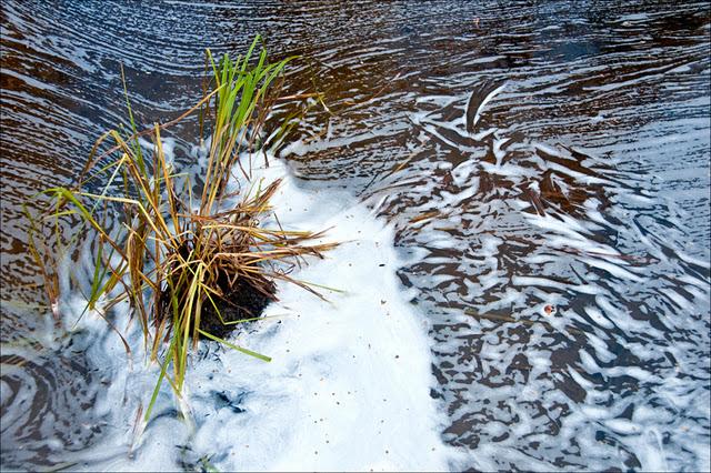 Parc de la Rivière Doncaster - 2