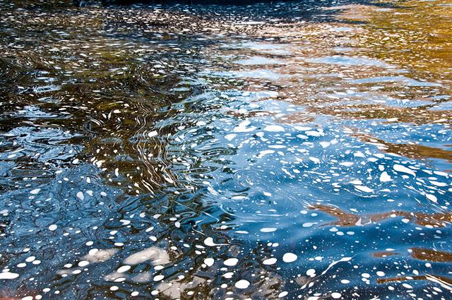 Parc de la Rivière Doncaster - 2