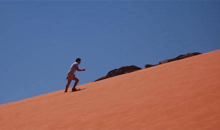 © tgraham /  flickr 