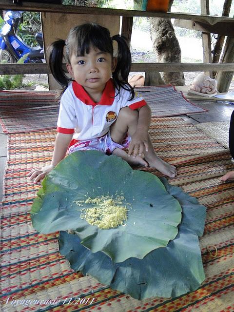 Thaïlande LE RIZ VERT:  Pour les gourmets [HD]
