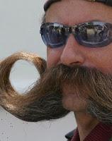 Chou, une affaire internationale...suite !!! Last call !!! Chou, une affaire internationale...suite !!! Last call !!!