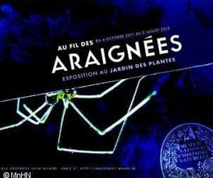 au-fil-des-araignees-3