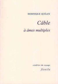Câble à âmes multiples de Dominique Quélen (par Samuel Macaigne)