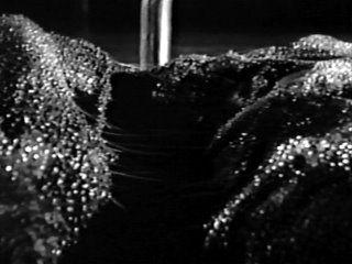 Caltiki_le_monstre_immortel_Caltiki_il_mostro_immortale_1959_4