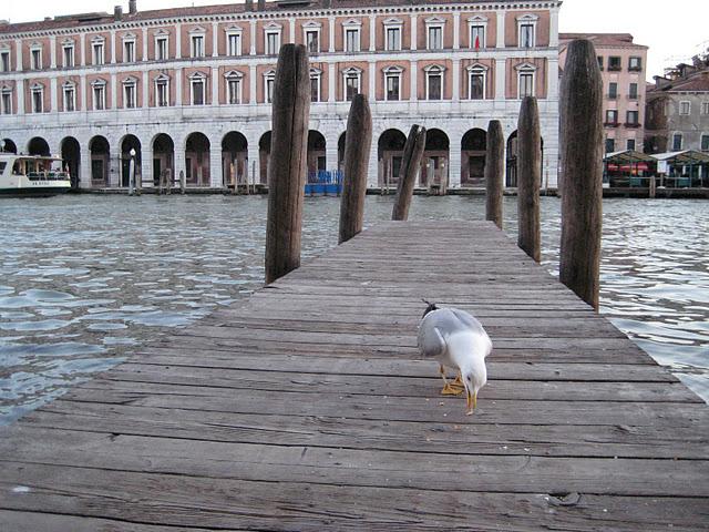 Un heureux qui a eu quelques miettes de mon gâteau