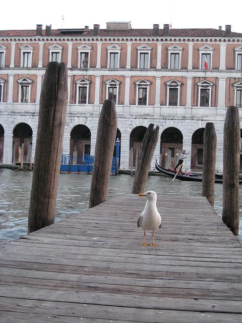 Un heureux qui a eu quelques miettes de mon gâteau