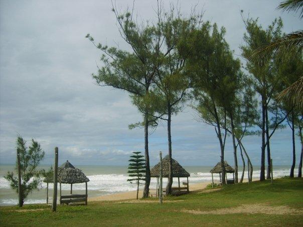 Ambila lemaitso - Andovoranto - Madagascar