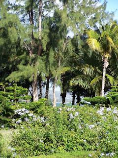 Citadins, rapprochez-vous de la nature