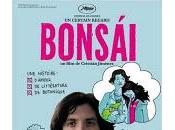 chewing-gum Beaubourg