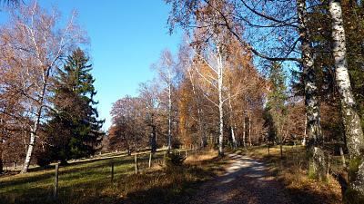 Belles promenades bavaroises: de Andechs à Pähl et retour (Andechser/Pähler Höhenweg)