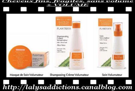 Planter_s_pour_cheveux_fins__fragiles_sans_volume