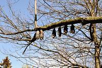 La photo du dimanche #20 !!! Notre invitée mystère #2 !!!