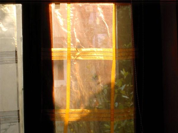 impressions d'automne