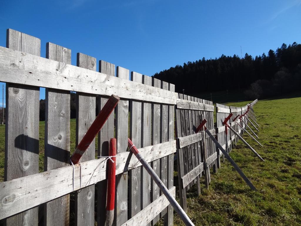 Toujours pas de neige