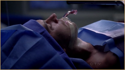 vlcsnap_2011_11_11_22h23m24s82