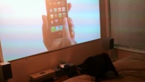 chien iphone Ce chien qui naimait pas liPhone