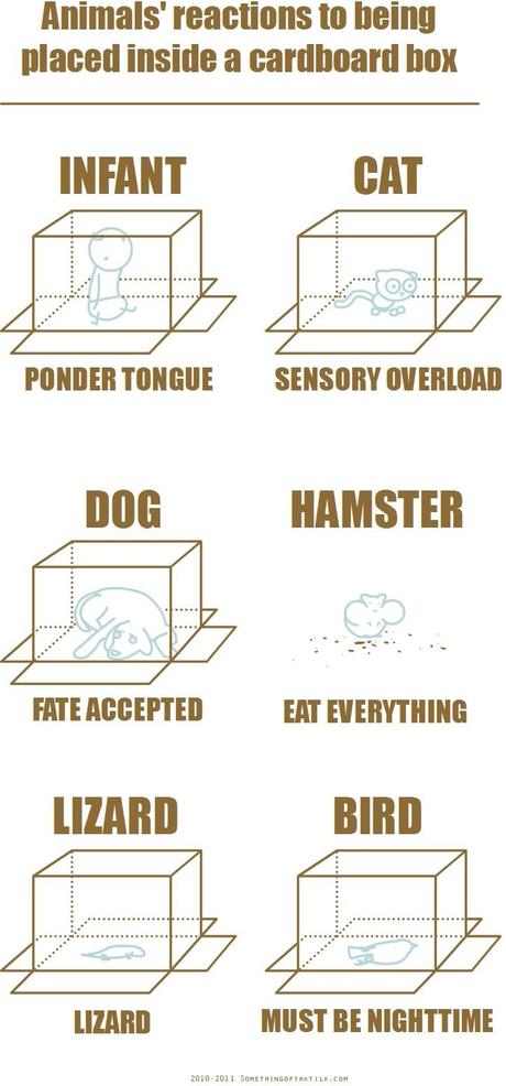 box box