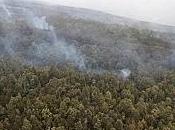 brûle bons Français change